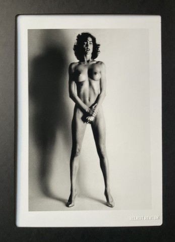 Big Nude Iii Henrietta Di Helmut Newton Charitystars