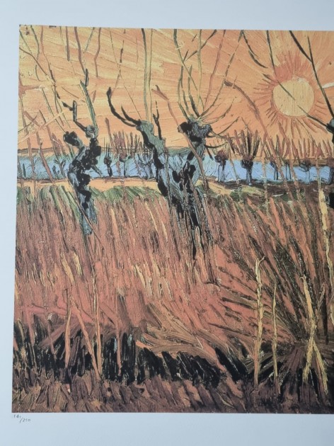 Willows At Sunset Lithograph By Vincent Van Gogh Signed Charitystars