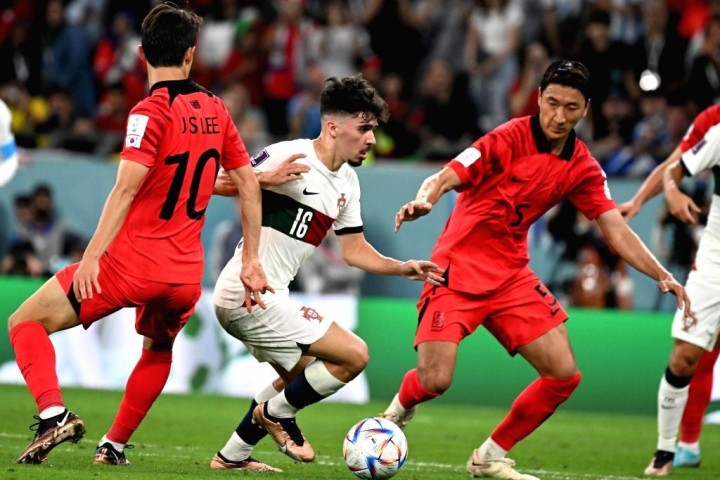 Maglia Vitinha Indossata Corea Del Sud Portogallo Wc Qatar