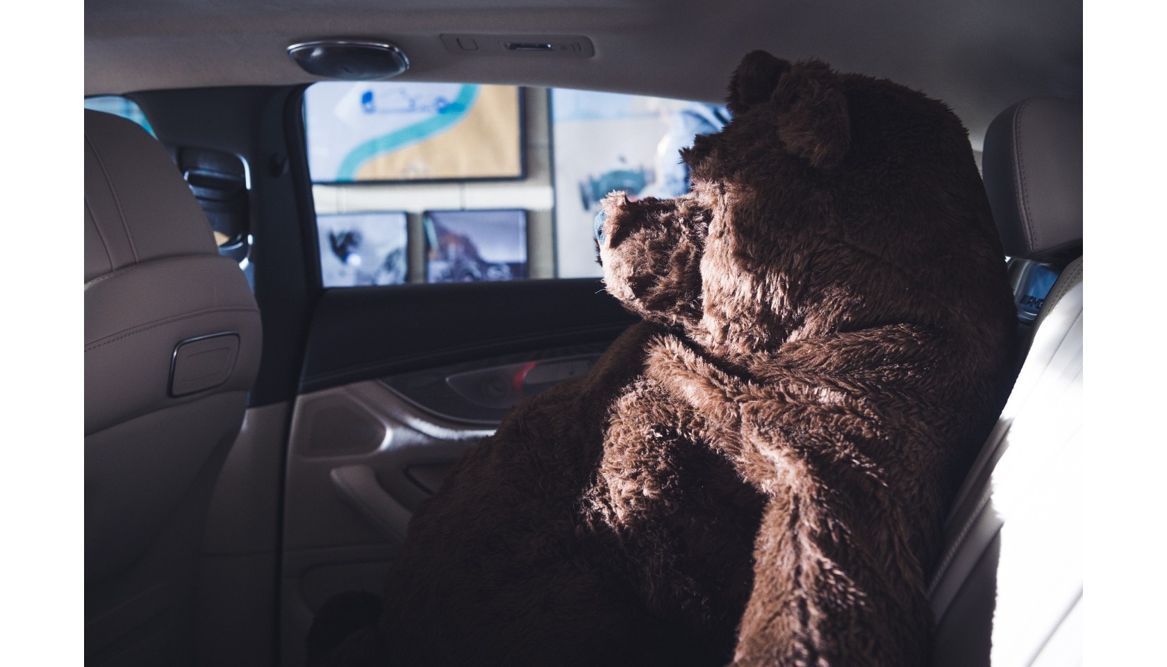 Stuffed Bear from Mercedes-AMG Commercial Starring Lewis Hamilton