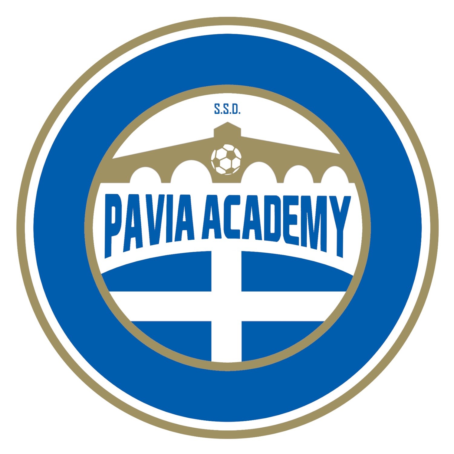 Pavia Academy SSD