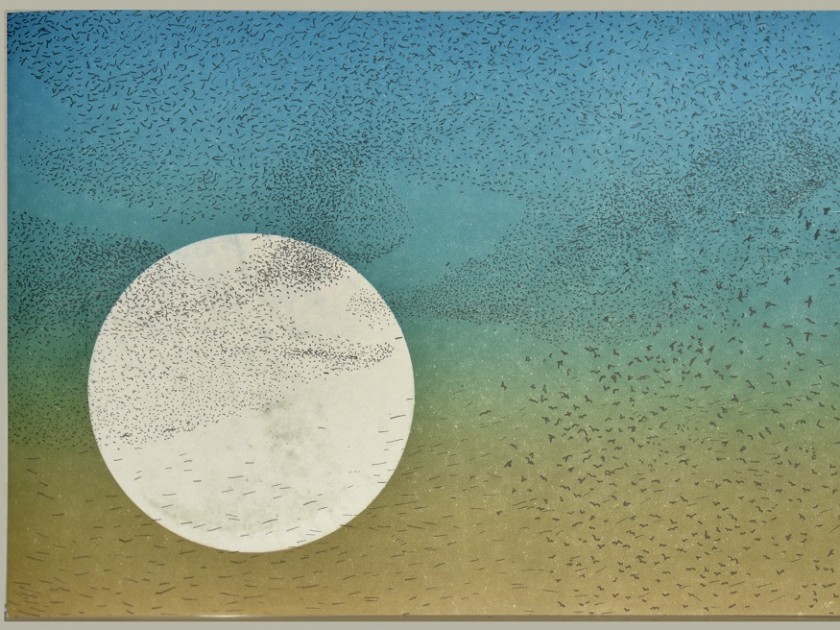 "Moon Starlings" – letterpress pressure print by Diane Jacobs – 36x24 cm