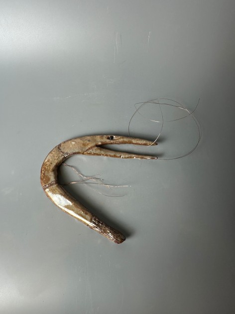 "Prawn (Gambero)" by Enrico David