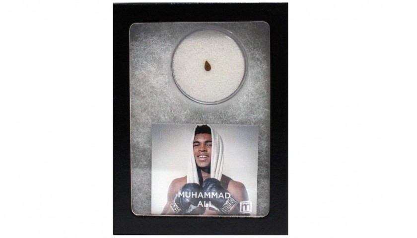 Fragment from Muhammad Ali's Punch Bag