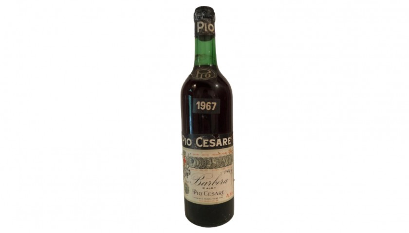 Bottle of Barbera d'Alba, 1967 - Pio Cesare