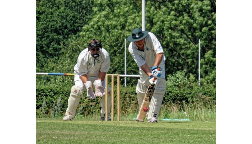 Exclusive Corporate Experience: Cricket