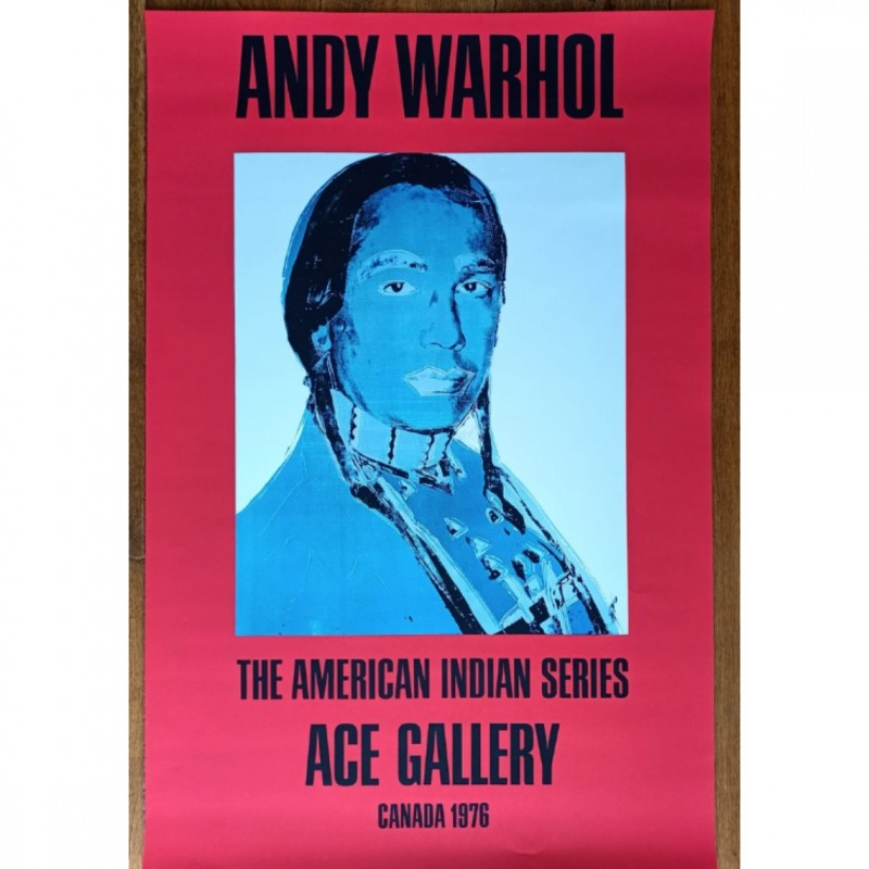 The American Indian Series (Red) by Andy Warhol - 1981