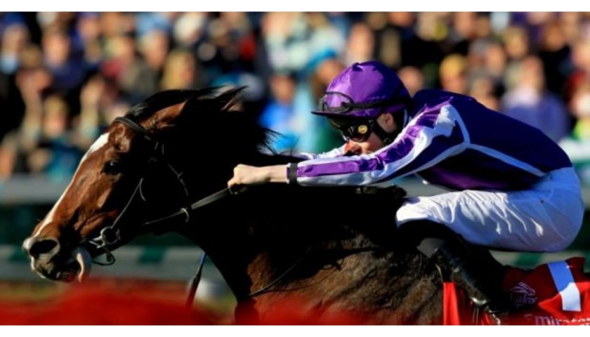 Visit for 4 to Joseph O’Brien’s Stables, with Breakfast