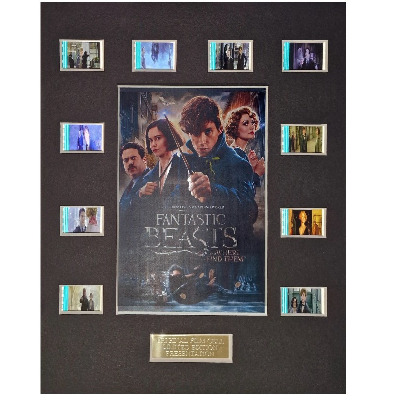 Maxi Card con frammenti originali della pellicola Fantastic Beasts