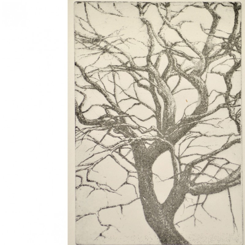 "Albero" - photo etching by Catherine Bercusson – 35x25 cm