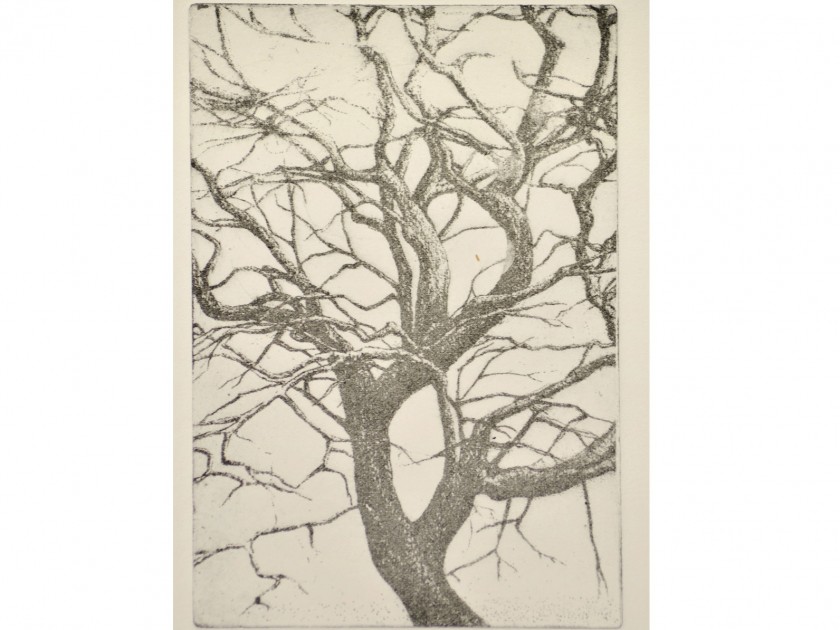 "Albero" - photo etching by Catherine Bercusson – 35x25 cm