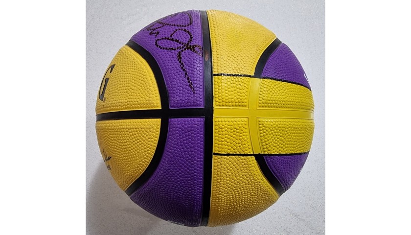 Lebron basketball clearance ball