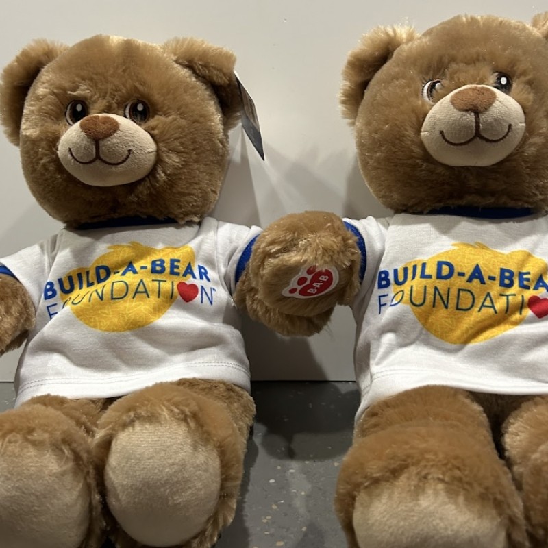 A Pair of Build a Bear Teddies