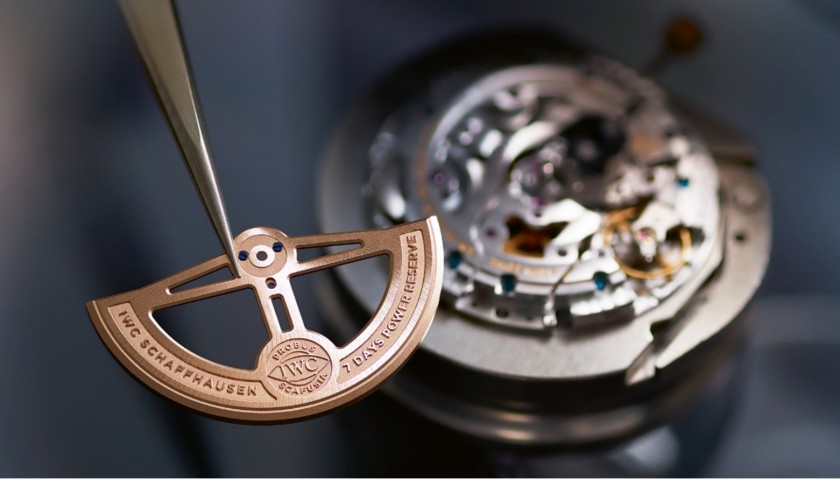 IWC Engineering Excellence - Watchmaking Course