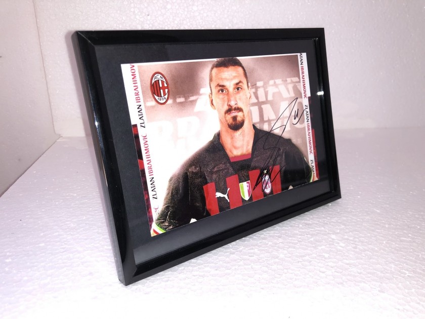 Fotografia autografata da Zlatan Ibrahimovic