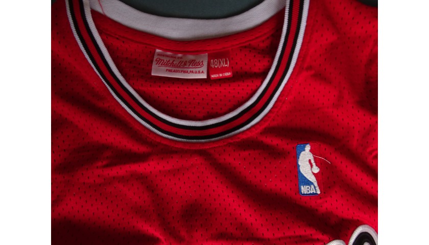 Vintage Chicago Bulls Jersey - Signed by Michael Jordan - CharityStars