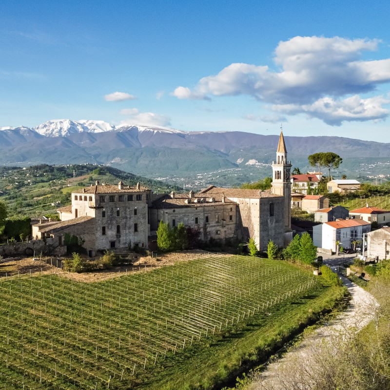 Voucher soggiorno di due notti per due presso Masciarelli Tenute Agricole