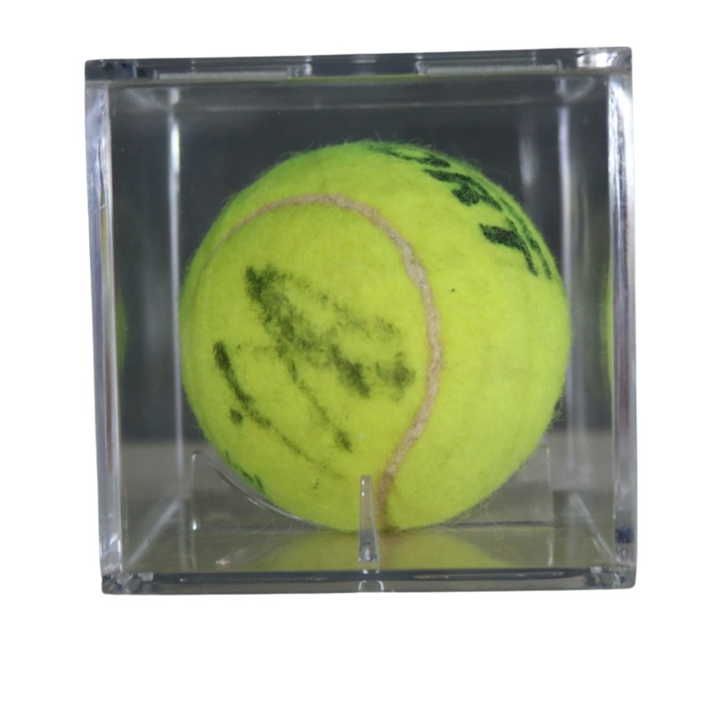 Tennis Ball - Signed by David Ferrer