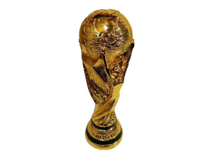 Fernando Torres' Spain 2010 Signed World Cup Trophy
