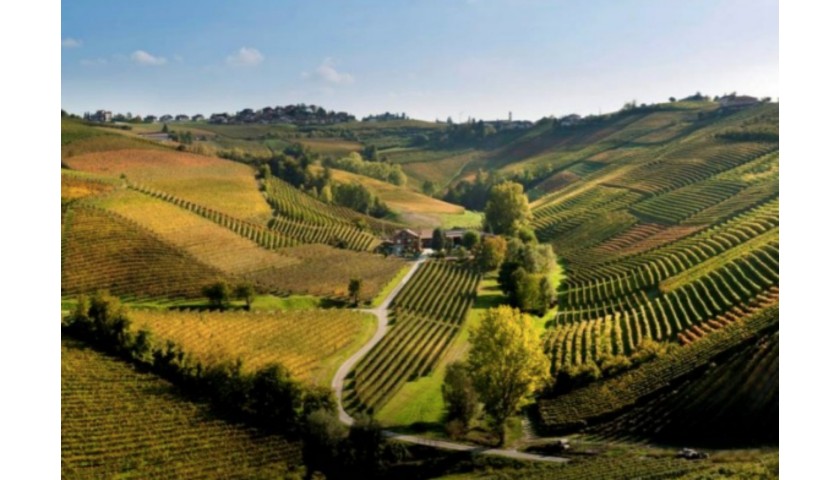 Italian Wine Tour of Barolo and Chianti (Florence), 4 Nights, 2 People