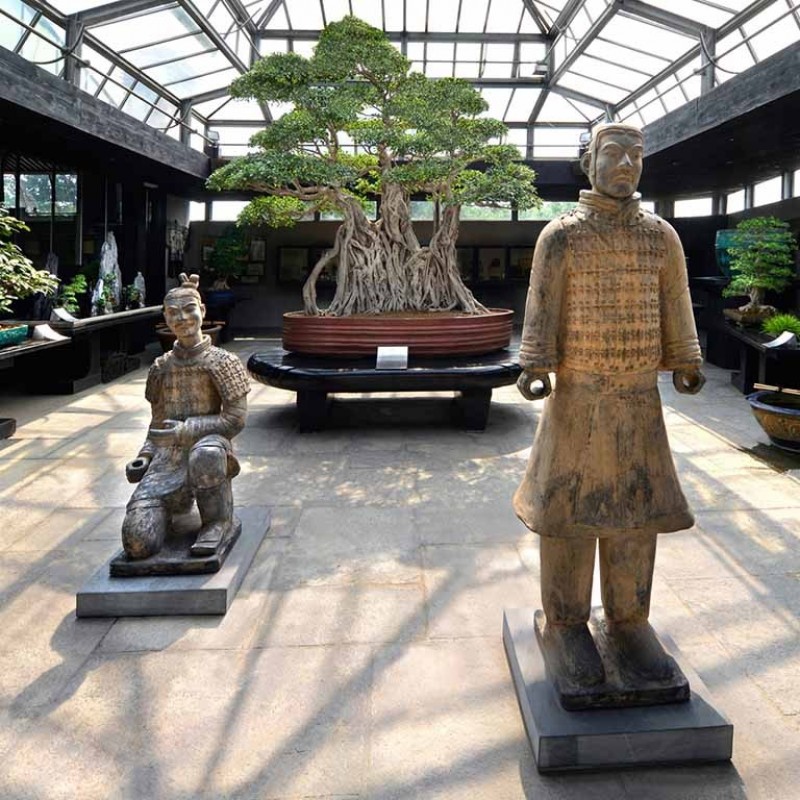 Visit to the "Crespi Bonsai Museum" and Bonsai Introductory Course
