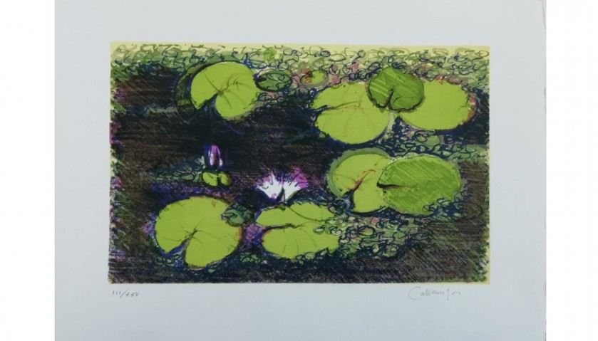 Water Lilies Lithograph by Giancarlo Cazzaniga