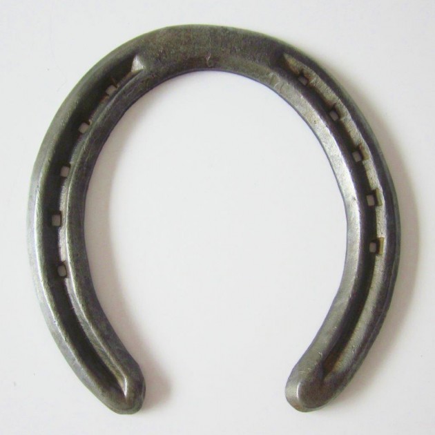 Horseshoe worn by Varenne - the greatest trotter of all time
