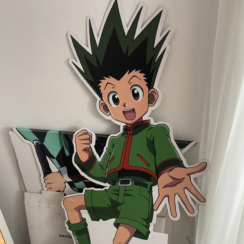 Cardboard Gon - Signed by Voghelita