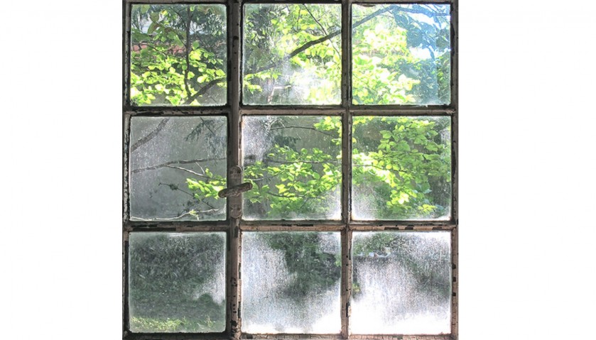 Fotografia "Leaves Behind The Window" di Vera Rossi