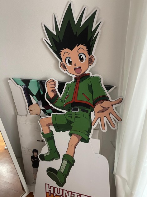 Cardboard Gon - Signed by Voghelita