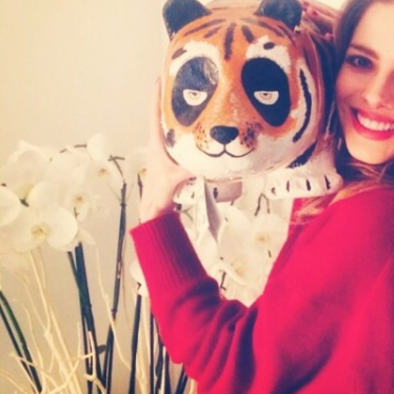 Pandino "Tigre" personalizzato da Alexandra Dinu