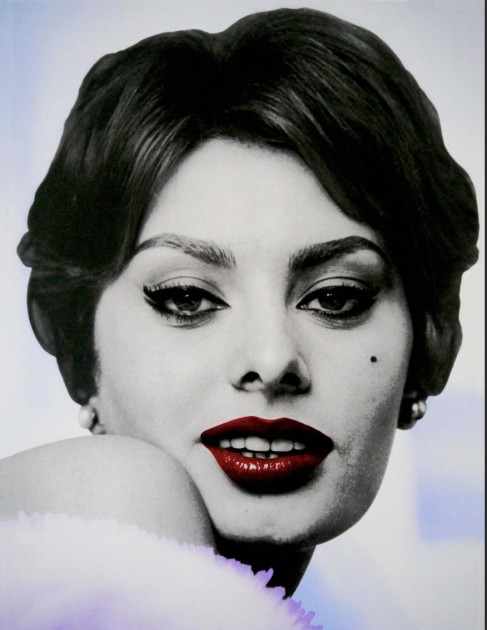 Uno splendido pezzo d'arte della galleria David Studwell - Sophia Loren 1