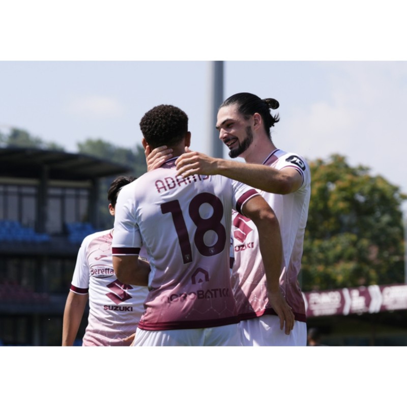 Mascot Experience at the Torino vs Monza Match