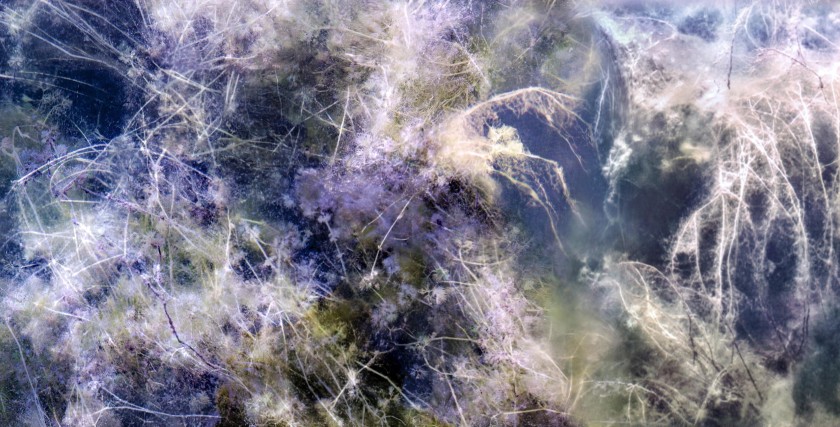 “Fragile. Maneggiare con Cura” di Pina Inferrera