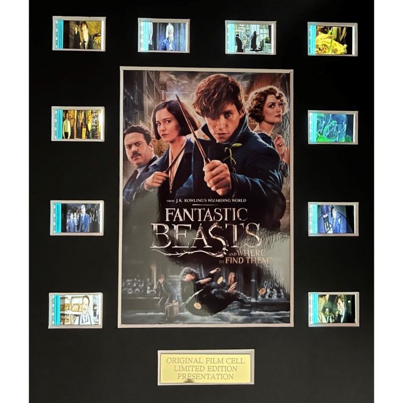 Maxi Card with original fragments from the film Fantastic Beasts and Where to Find Them