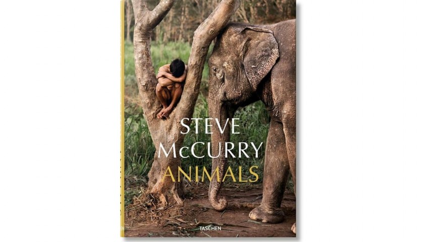 Steve McCurry In search of elsewhere and Steve McCurry Animals -  CharityStars