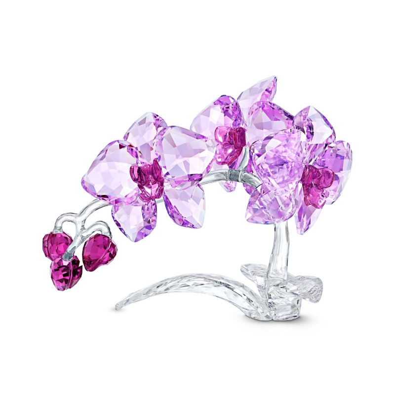 Swarovski - Crystal Orchid
