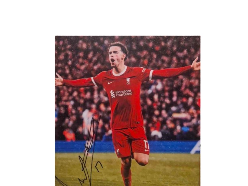 Curtis Jones Liverpool Signed 12 x 8 Canvas Picture