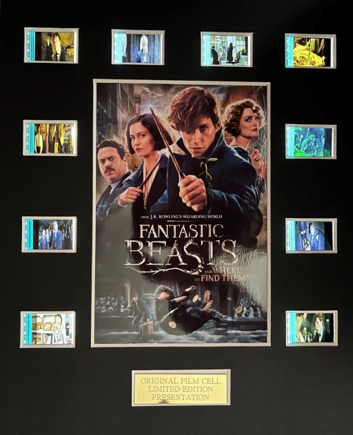 Maxi Card with original fragments from the film Fantastic Beasts and Where to Find Them