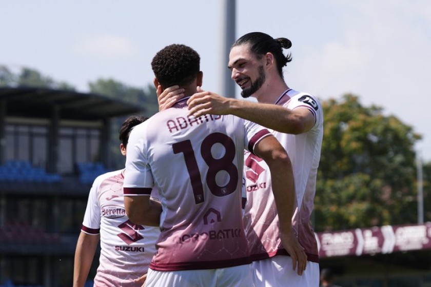 Mascot Experience at the Torino vs Parma Match