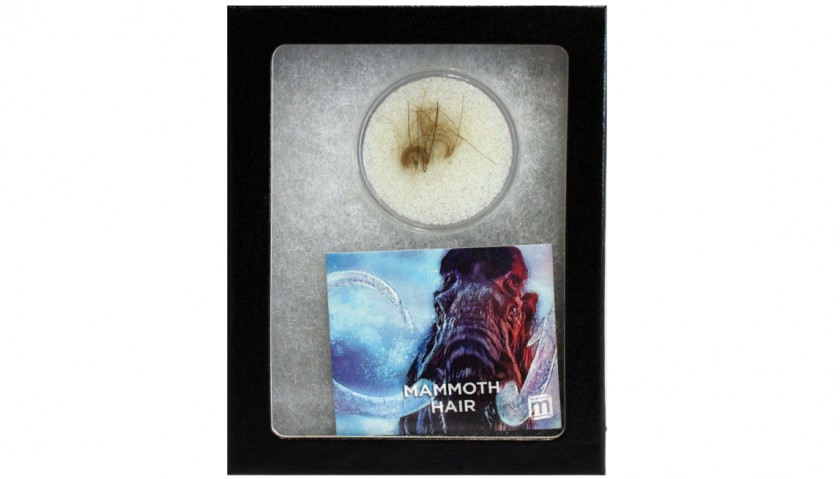 Original Woolly Mammoth Hair