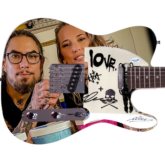 Chitarra grafica firmata da Dave Navarro dei Jane's Addiction "Duel Diagnosis