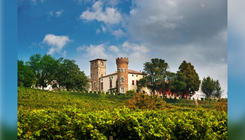 One-Night Stay and Wine Tasting at Castello di Buttrio, Italy