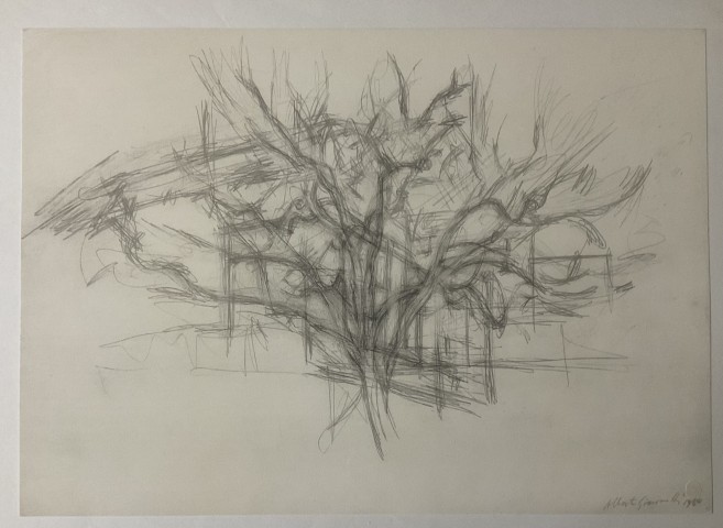 "Tree" by Alberto Giacometti