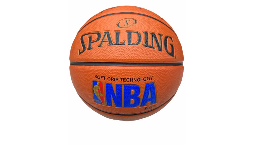 Palla da basket ufficiale Spalding NBA firmata da LeBron James -  CharityStars