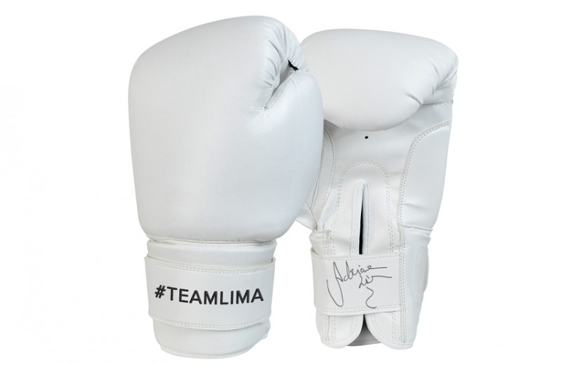 Signed, Worn Boxing Gloves