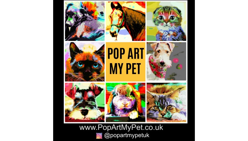 Pet Art With POP ART MY PET.co.uk