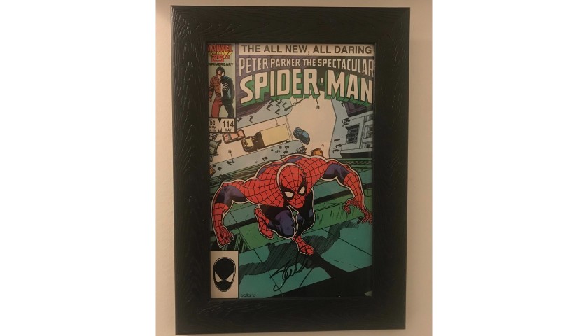 Stan Lee Signed and Framed Spider-Man Comic