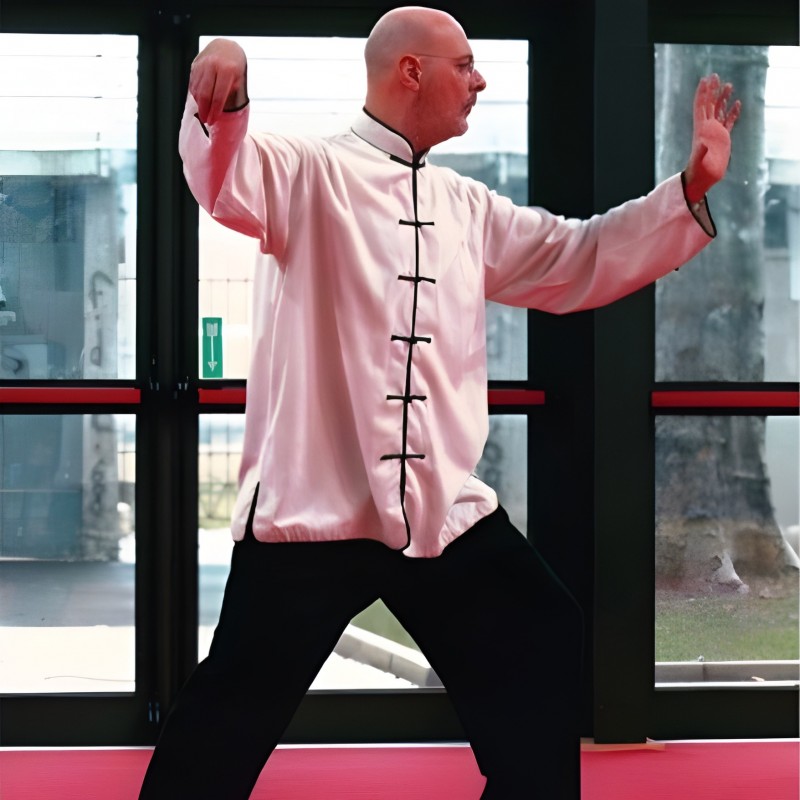Four Qi Gong Five-Animal Lessons with Master Enzo Sterpi