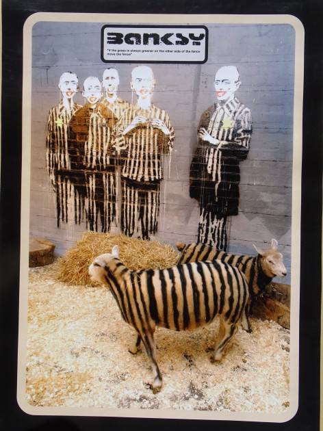 Poster Banksy: Washing Zebra [Poster] - Posters